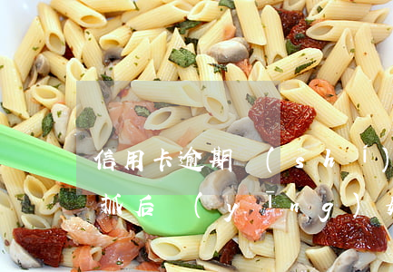 信用卡逾期實(shí)施抓捕怎么辦？被抓后應(yīng)如何應(yīng)對(duì)？
